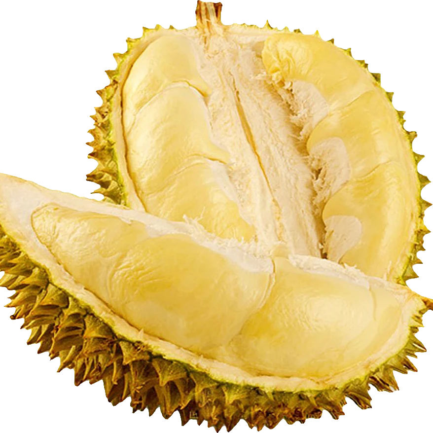 【秒杀no售后 29.9元一斤 金枕湿包 金枕 】金枕鲜榴莲小时达整果核小（个别核大点） 约3-7斤 金枕泰国