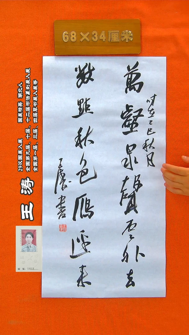 书法341R王涛书法作品