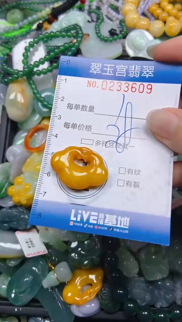 颈饰未镶嵌翡翠闪购C0233609