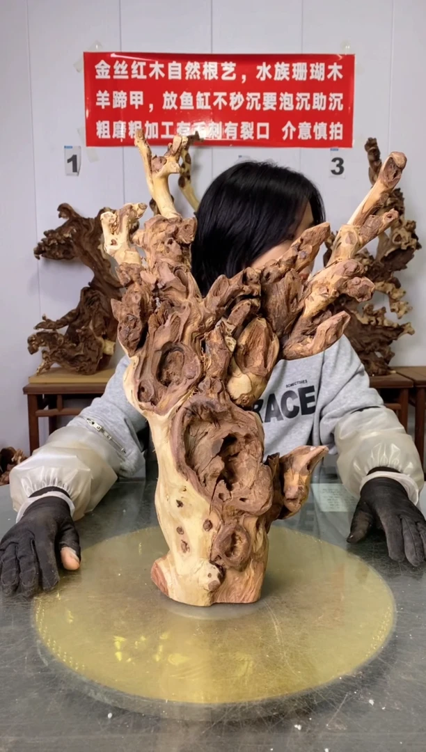 【闪购商品】木56枯树摆件 粗磨粗加工半成品 毛料