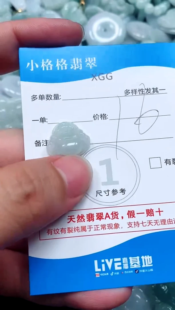 翡翠未镶嵌颈饰闪购商品0285873（无字）