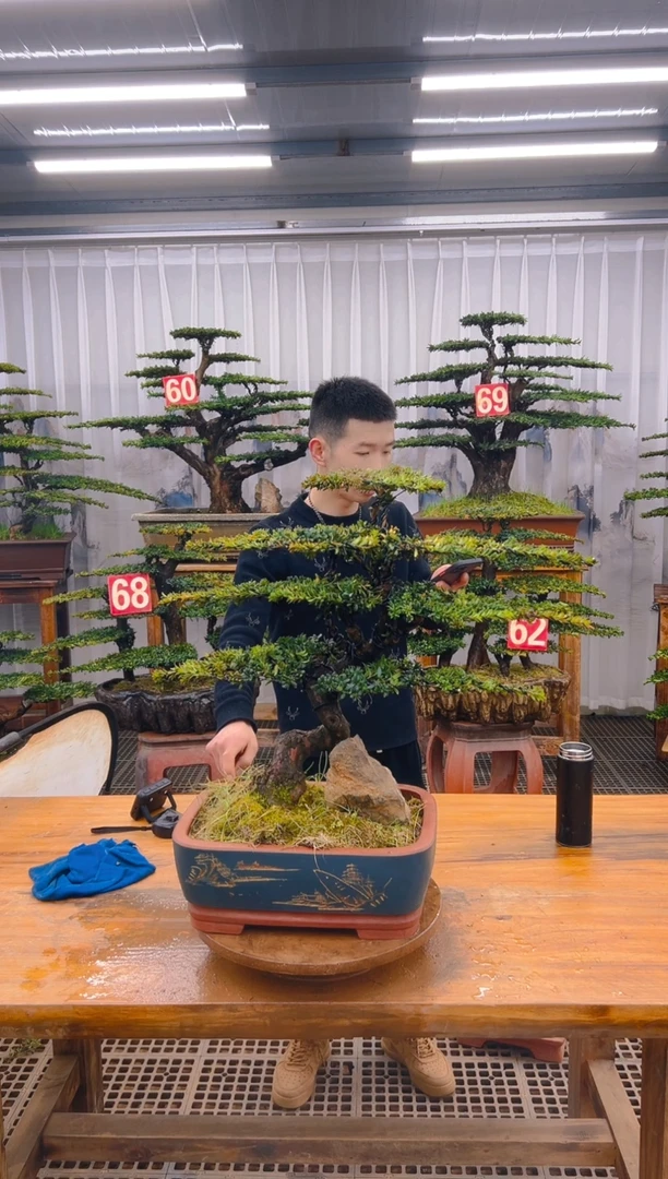 【闪购商品】紫砂精品盆景直播间一物一拍