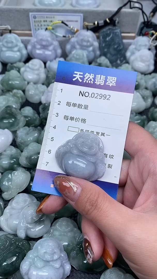 颈饰未镶嵌翡翠纯天然A货翡翠2992