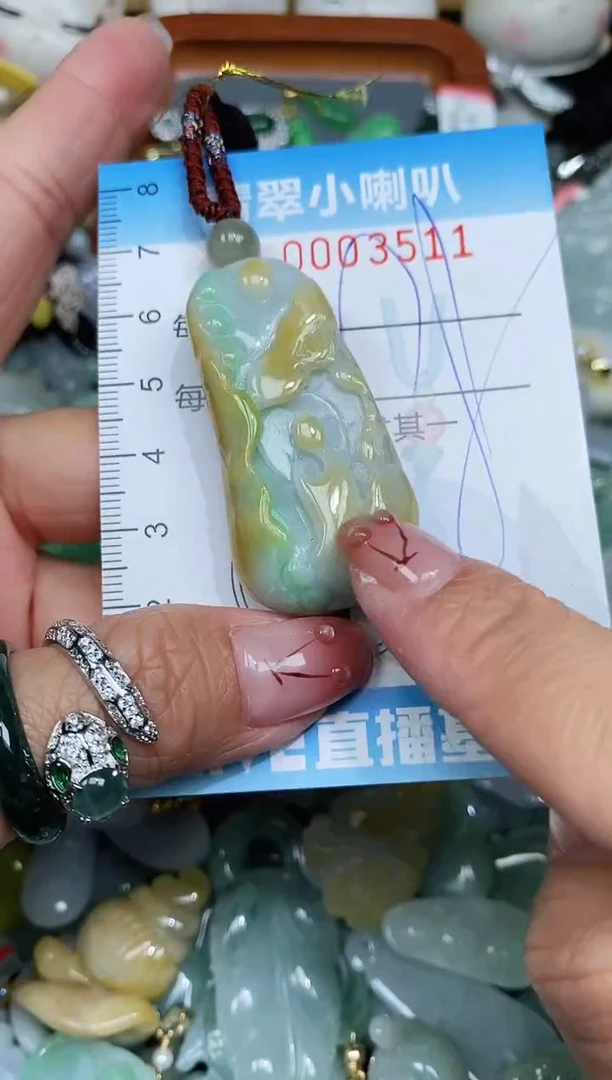 【闪购商品】翡翠颈饰未镶嵌闪购0003511