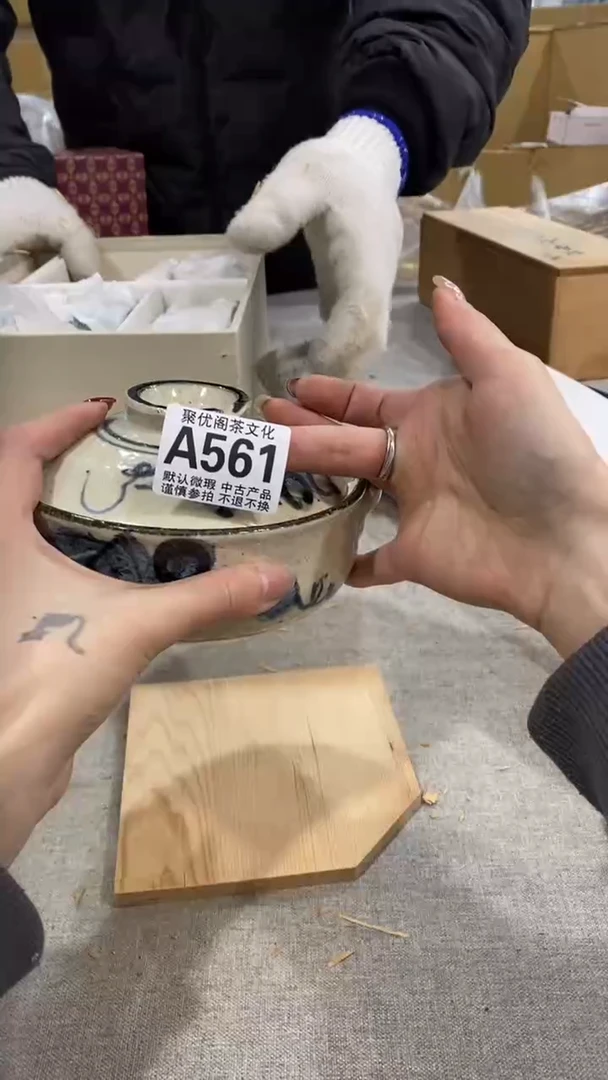 【闪购商品】碟聚优阁闪购商品A561