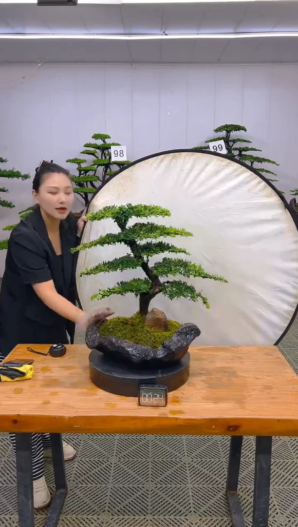 无花朵一物一拍一物一拍