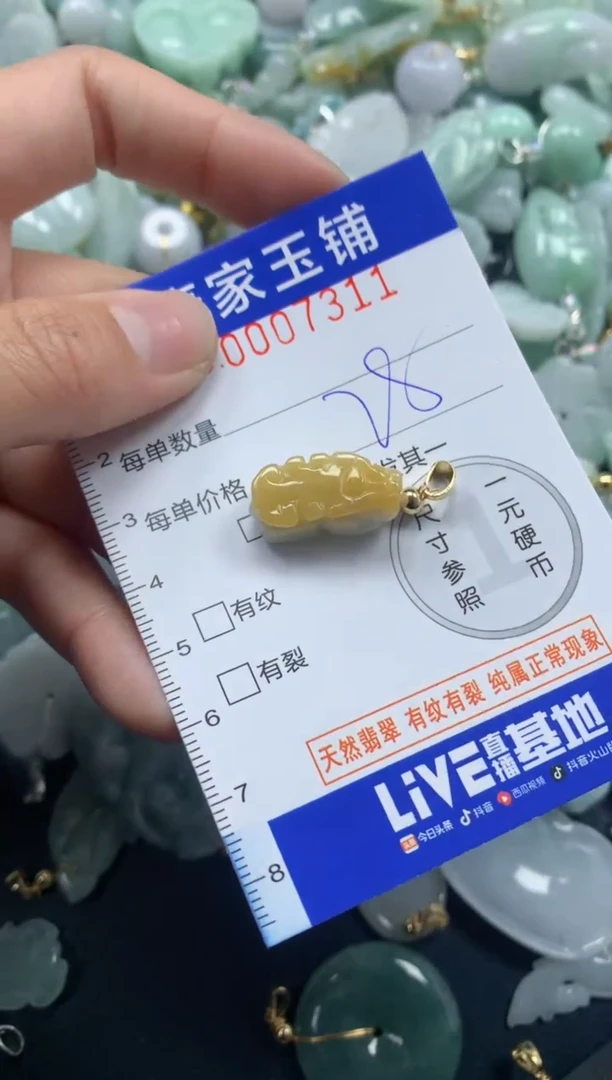 颈饰未镶嵌翡翠7311