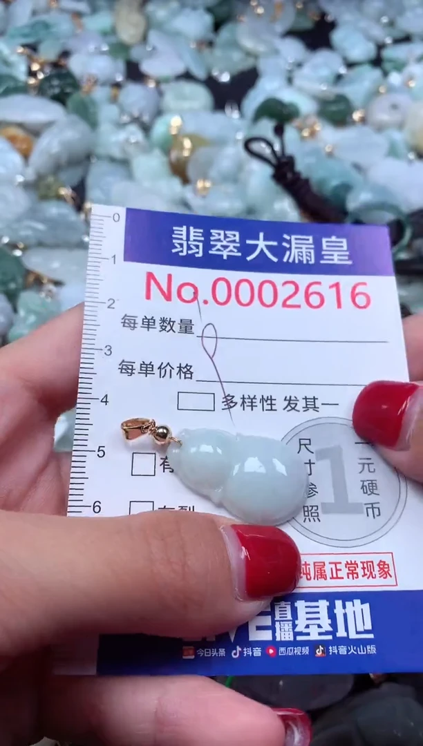 颈饰未镶嵌翡翠2616