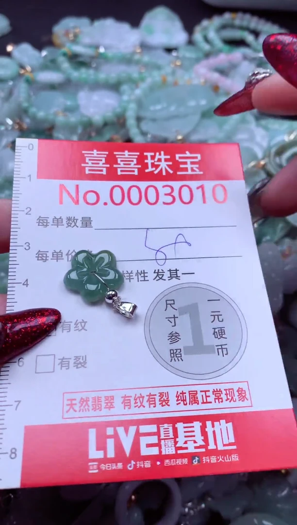 颈饰未镶嵌翡翠3010