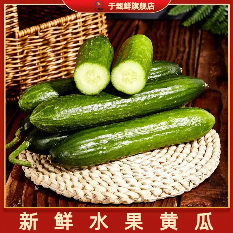 【于甄鲜】寿光蔬菜水果黄瓜生吃脆新鲜4.5-5斤当季无刺小黄瓜