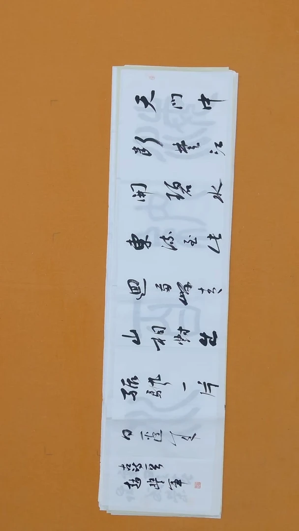 书法赵丰军138*34河南