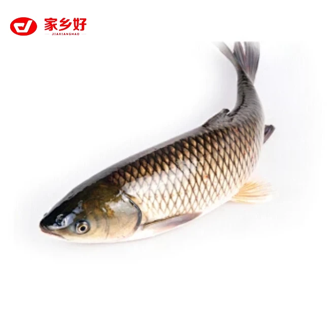 草鱼 1kg