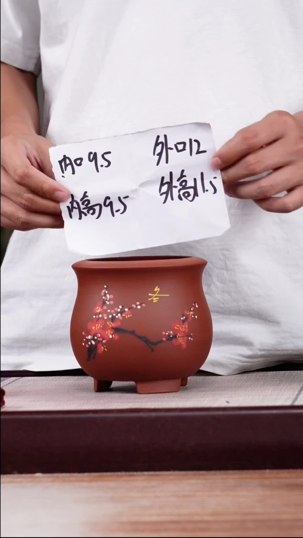 紫砂花盆清水泥冬日腊梅一个带托