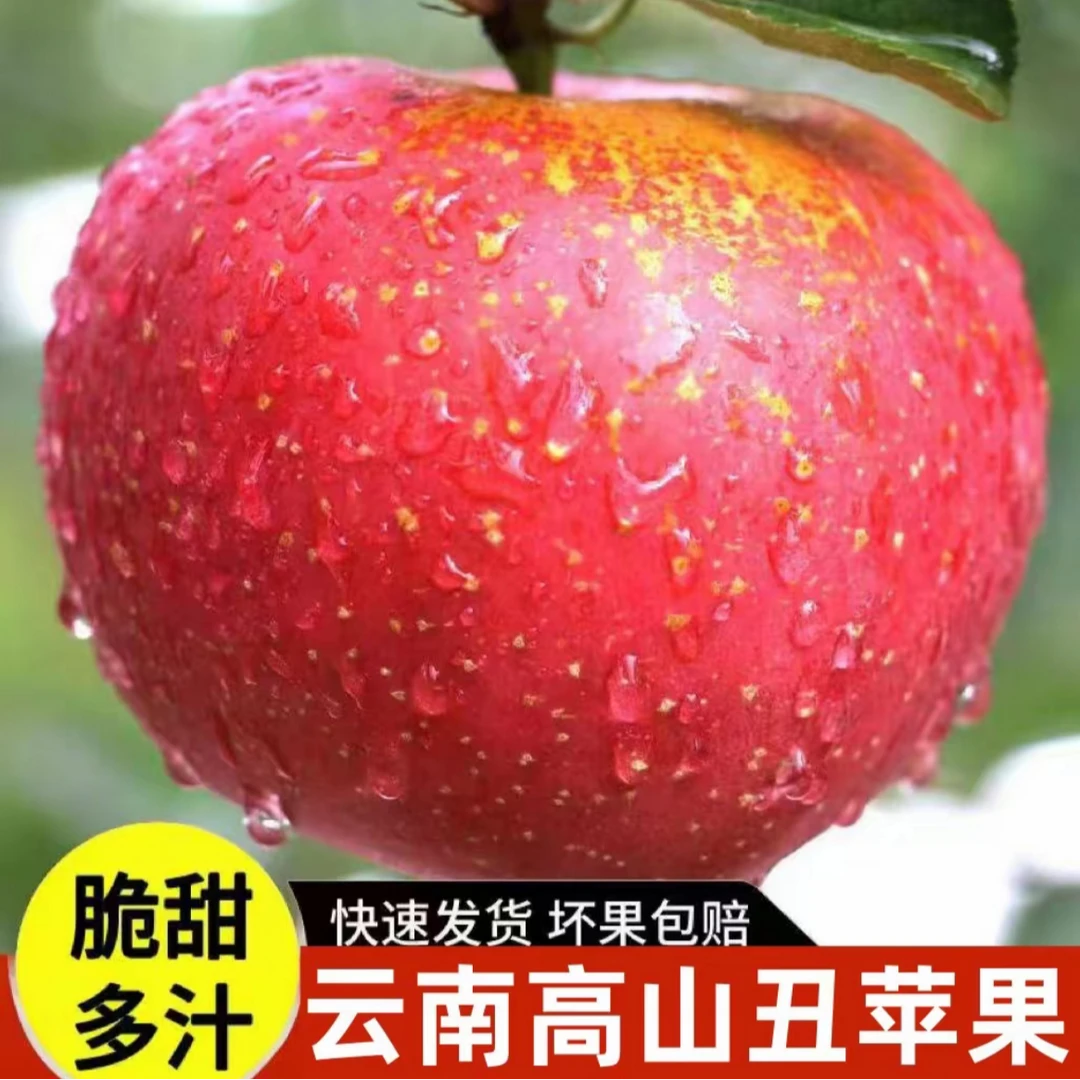 【带箱5斤】云南昭通丑苹果现摘脆甜多汁