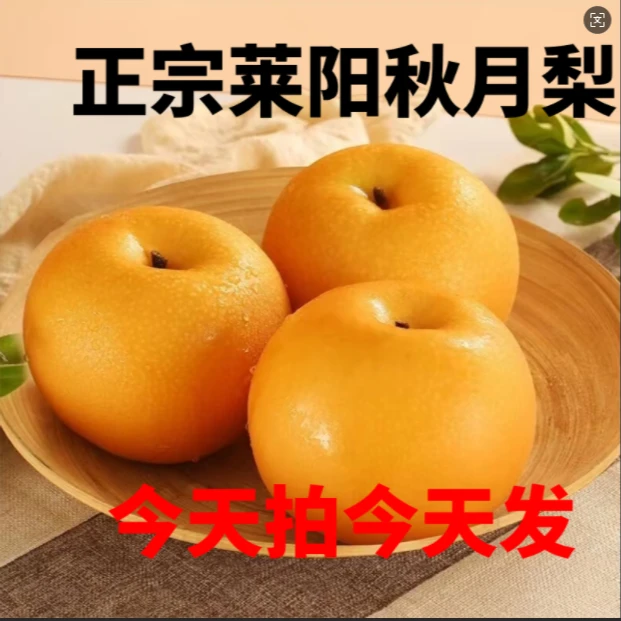 正宗秋月梨新鲜现摘当季水果脆甜多汁皮薄无渣