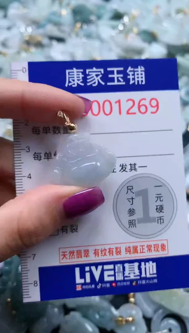 颈饰未镶嵌翡翠1269