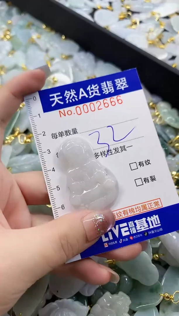 颈饰未镶嵌翡翠天然A货翡翠