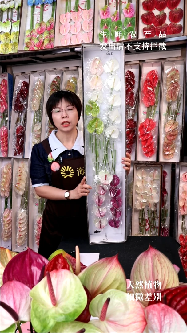 G12混色彩掌20支79包邮 有暇无售后