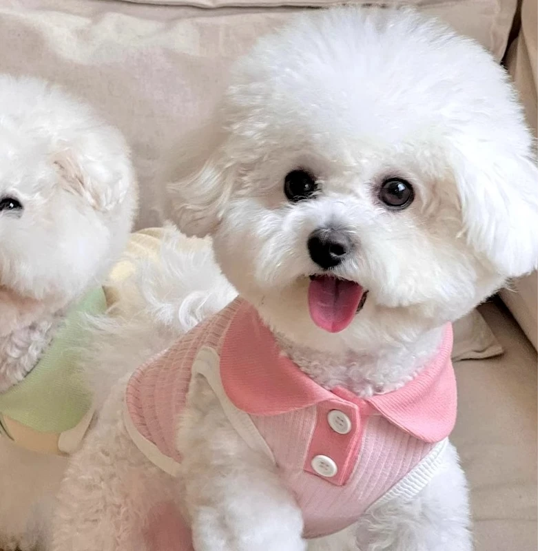 嬉皮狗狗狗衣服针织翻领宠物春夏衣服新款小型犬比熊LX两脚衣5273