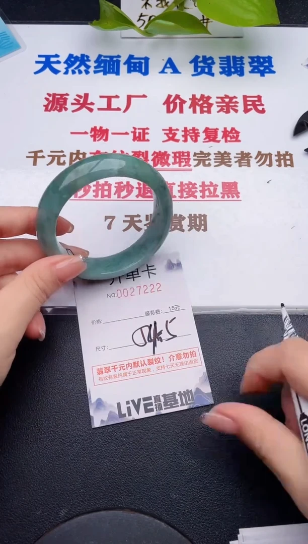 未镶嵌手镯翡翠22