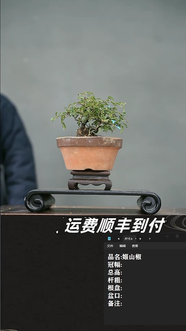 【闪购商品】17   姬山椒