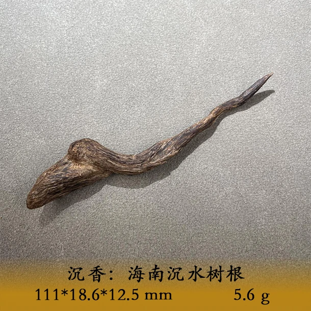 LSEL天然野海南沉水树根A931