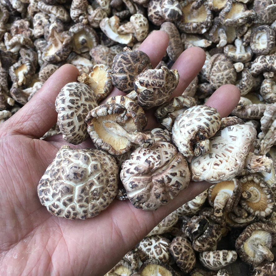 【秦巴本草】村书记助农 秦岭深山干货 肉厚香醇椴木小花菇250g