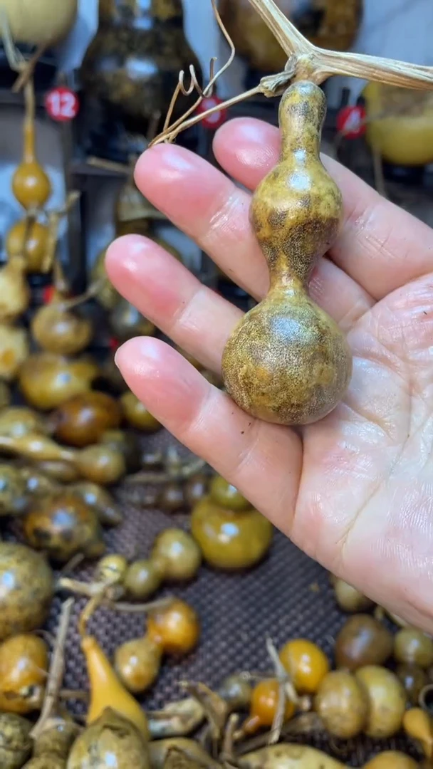 【闪购商品】葫芦葫芦葫芦葫芦葫芦