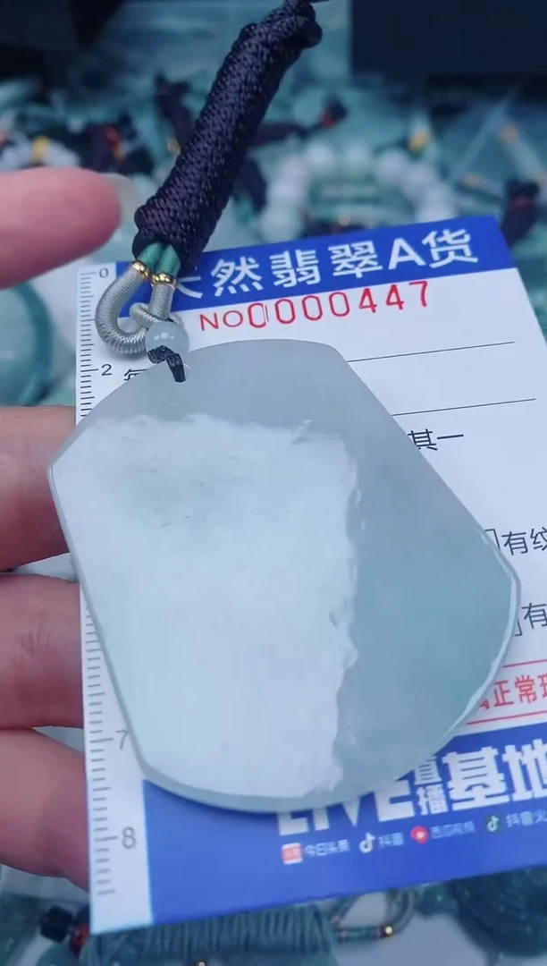 颈饰未镶嵌翡翠00000447