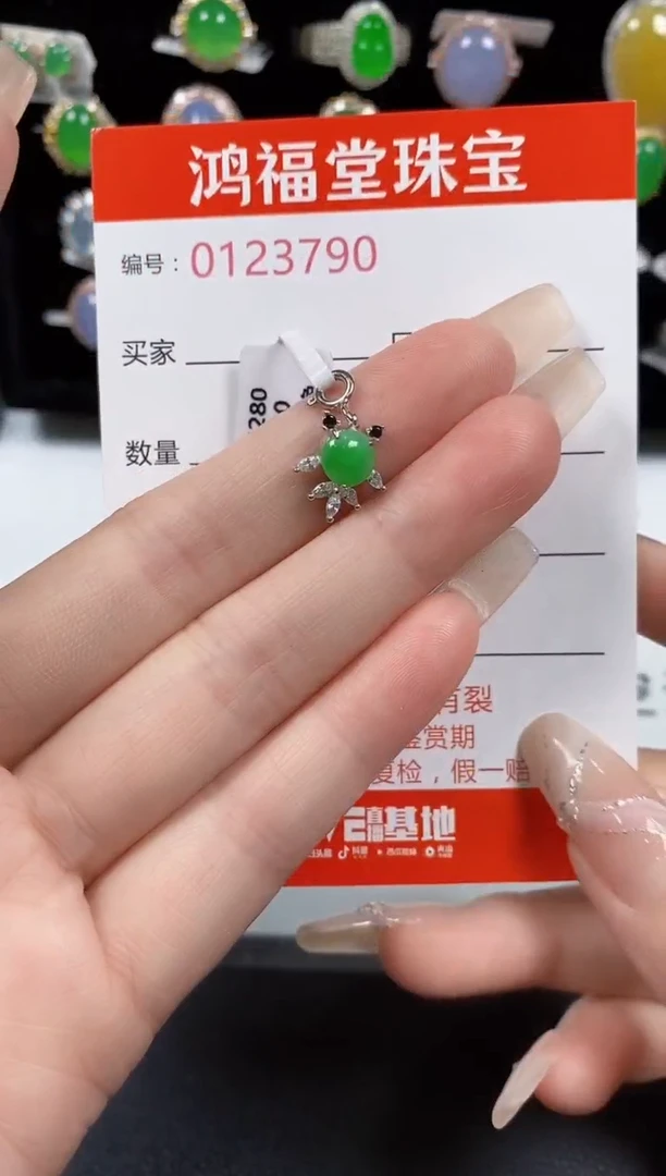 翡翠银S925镶嵌颈饰3790