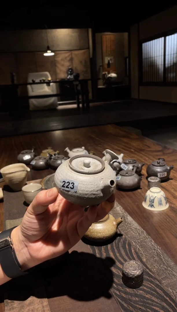 【闪购商品】0侧把壶...........223