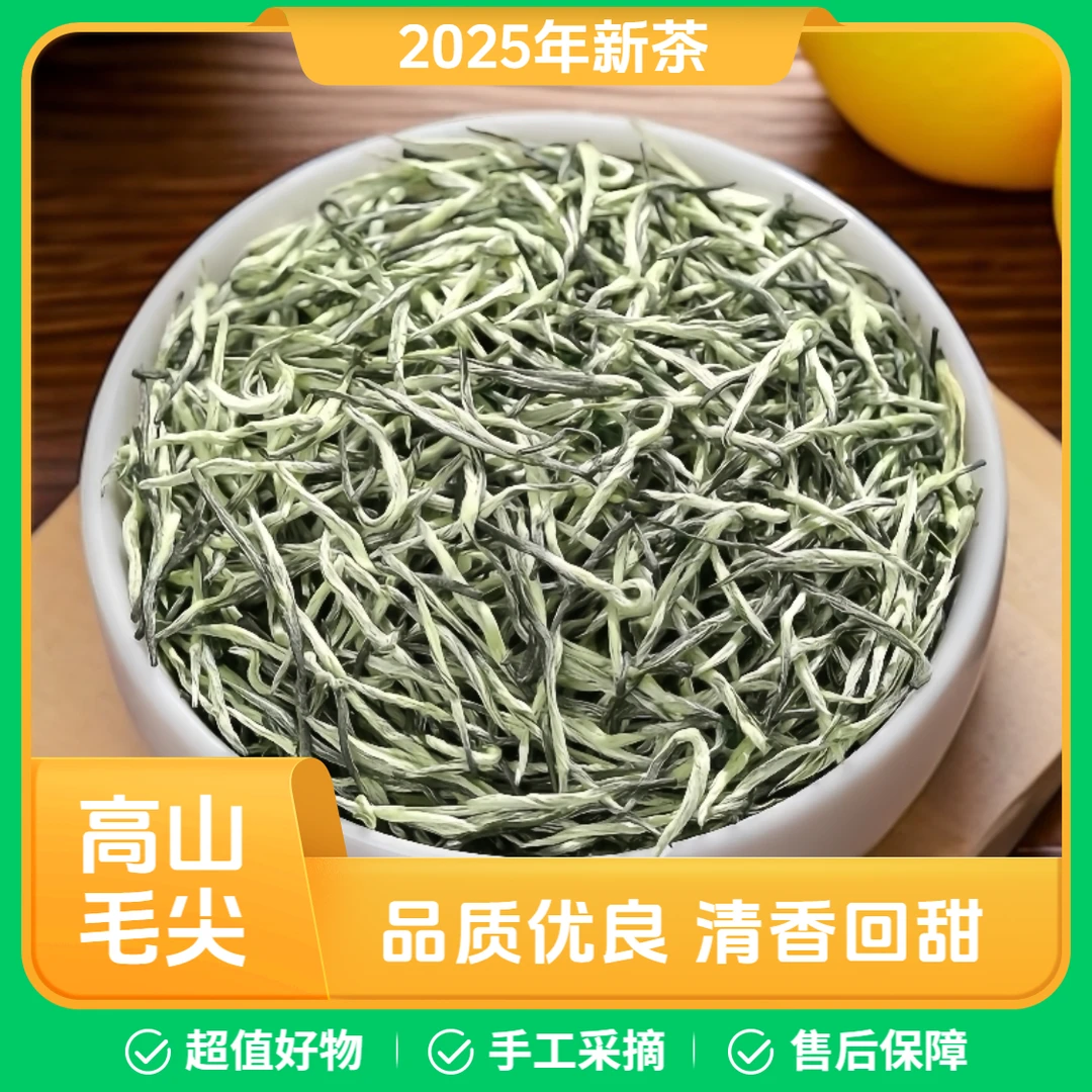 手工高山毛尖绿茶2025年新茶云雾绿茶毛尖雨前高山毛尖茶清香茶叶