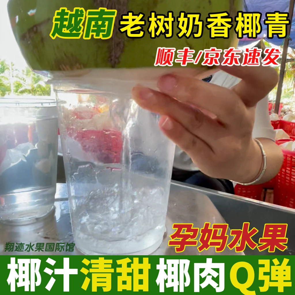 【正宗越南椰青】原箱进口老树香水椰青香甜Q弹孕妈饮料清羊水