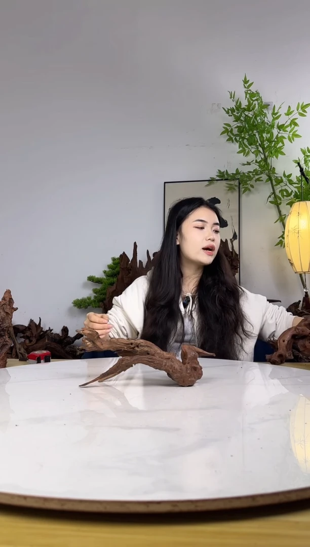 Q***N拍沉木定向链接编号11