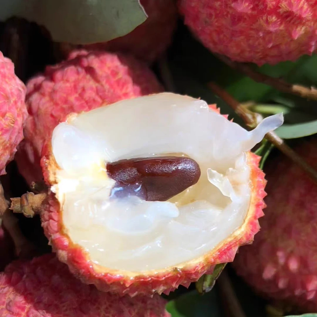 糯米糍荔枝 潮汕高山老树荔枝 每日新鲜 现摘现发