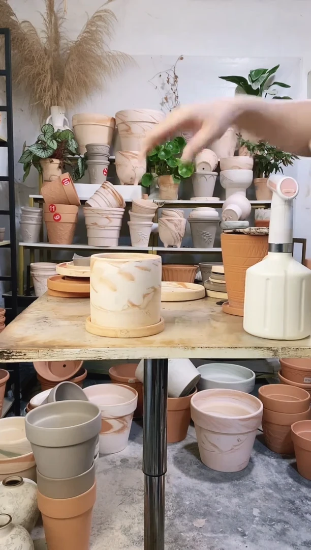 13*13玛奇朵直筒 1盆1托