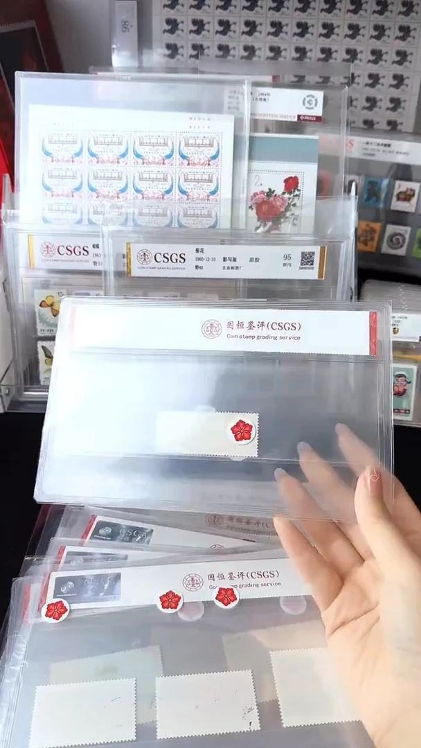 文13盖