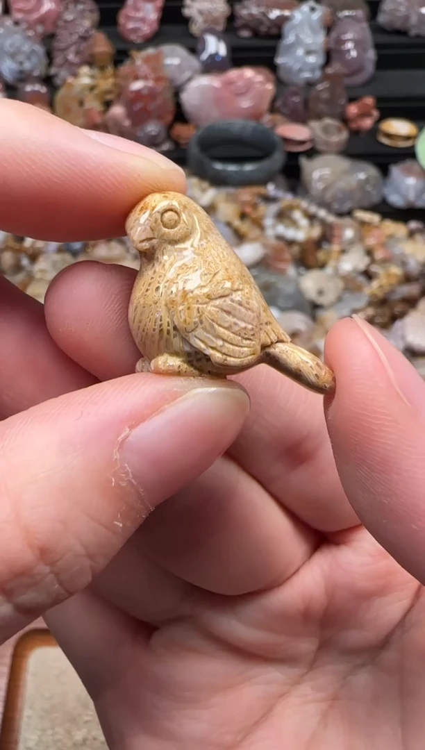 颈饰未镶嵌硅化珊瑚（珊瑚玉）016