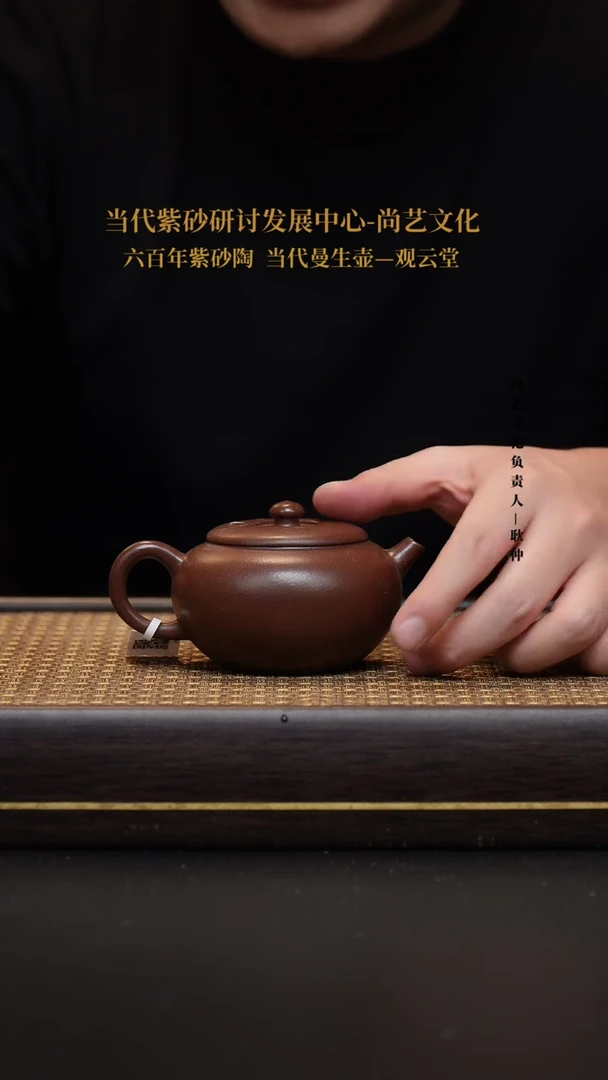 茶壶紫砂宜兴紫砂壶底槽青圆珠