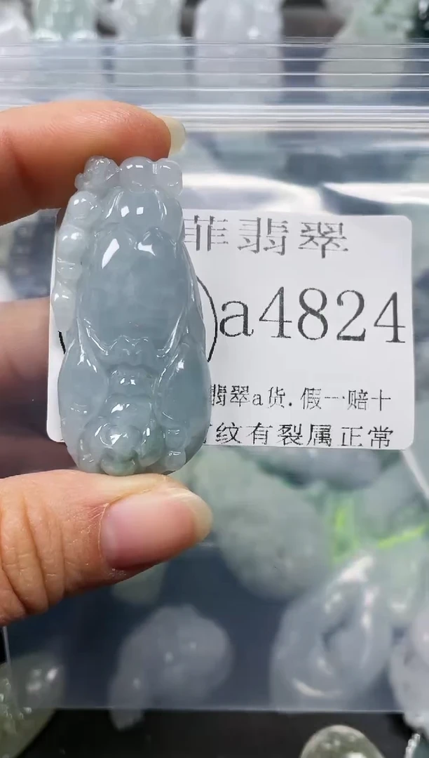 【闪购商品】翡翠颈饰未镶嵌闪购4824