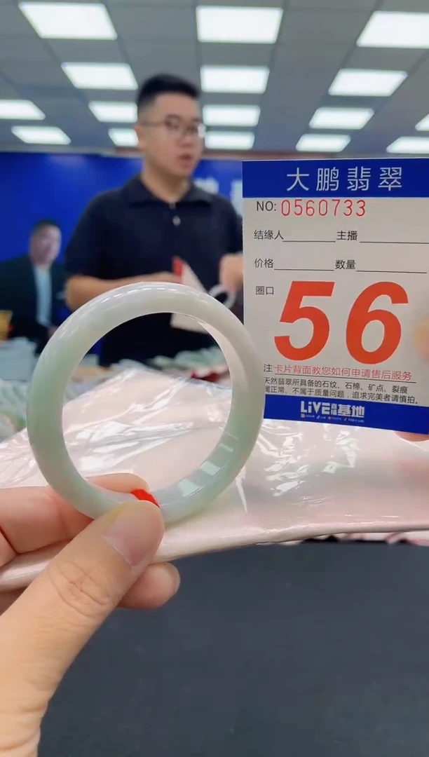 未镶嵌手镯翡翠AAAAAAAAA