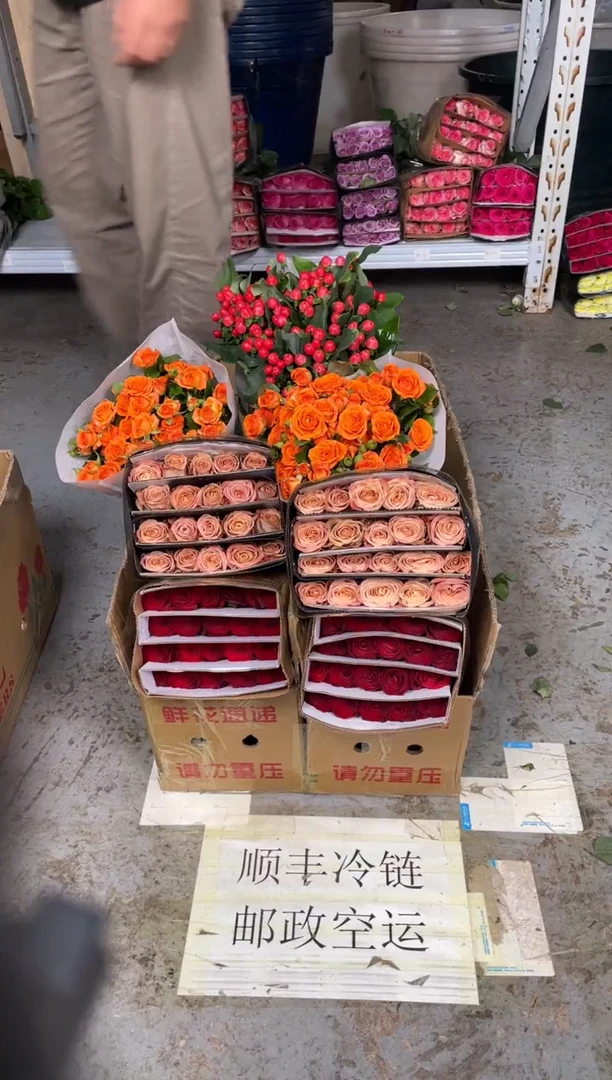 高原红20枝+卡布20枝+橙芭比10枝+红豆