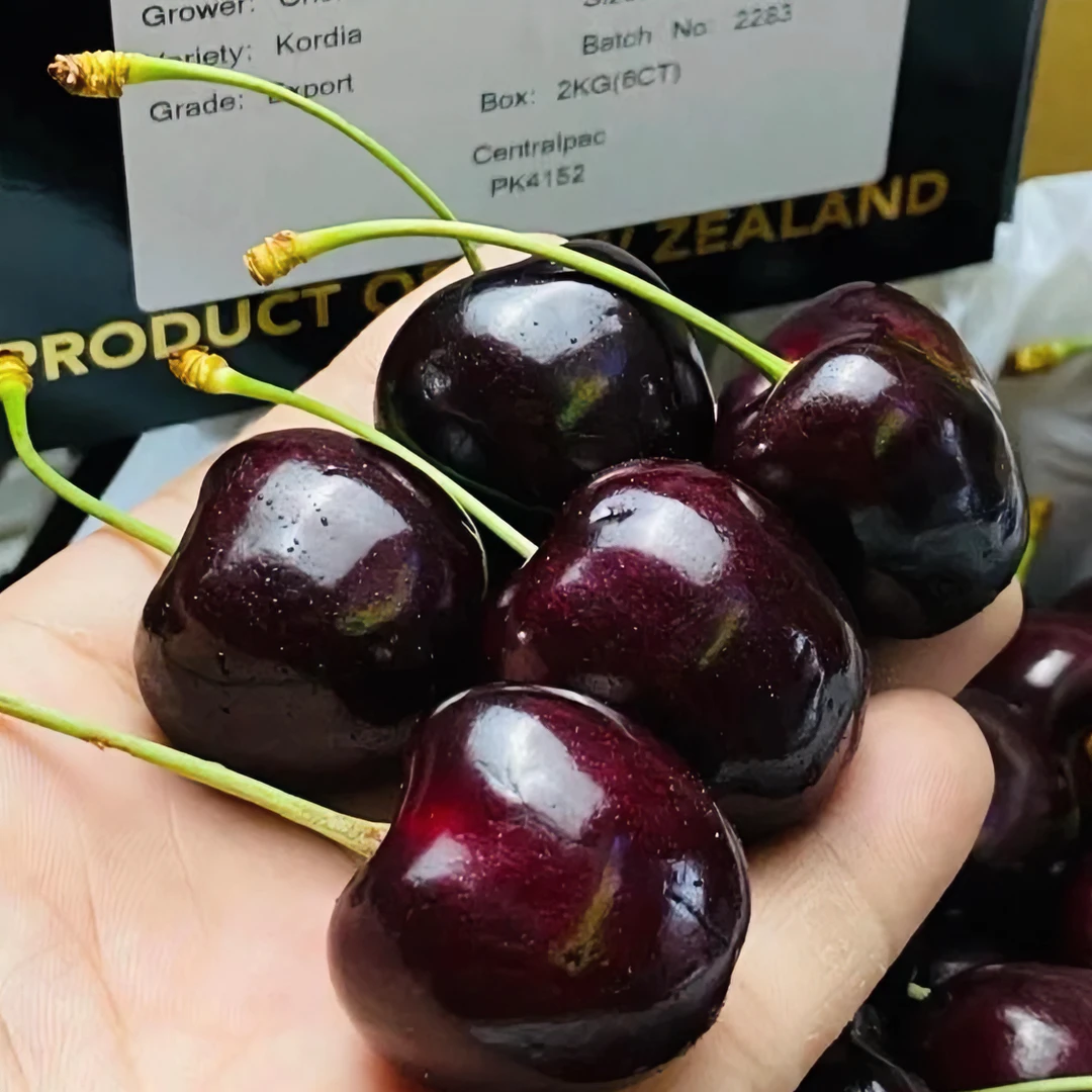 【鲜货现发】Kordia科迪亚智利车厘子海运2~4J 整箱5斤 内附果径卡