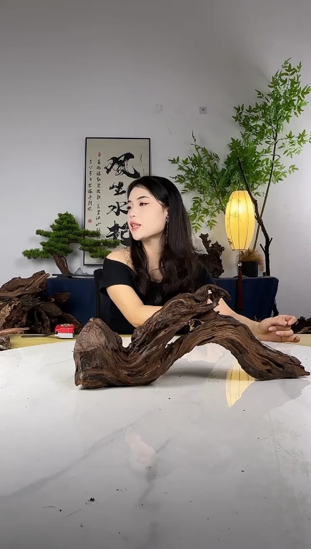 头***?拍这个定向编号30