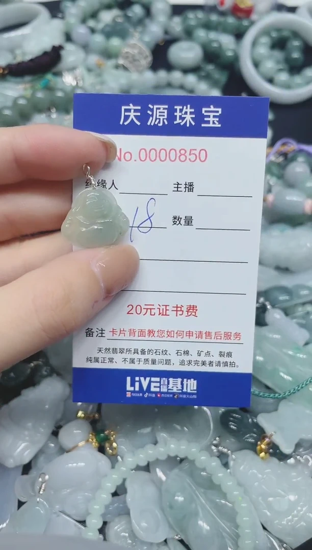翡翠未镶嵌颈饰218（多样性发其一）