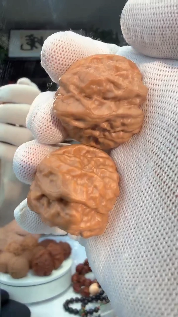 把件龙脊菩提016 HAM 蛤蟆 36-40