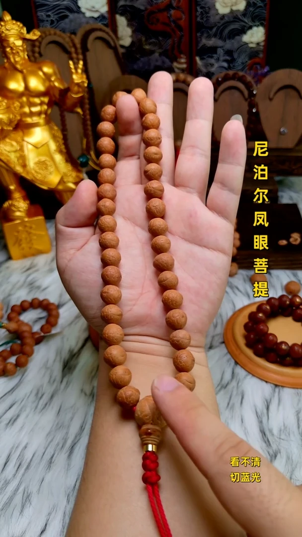 手串凤眼菩提新籽12