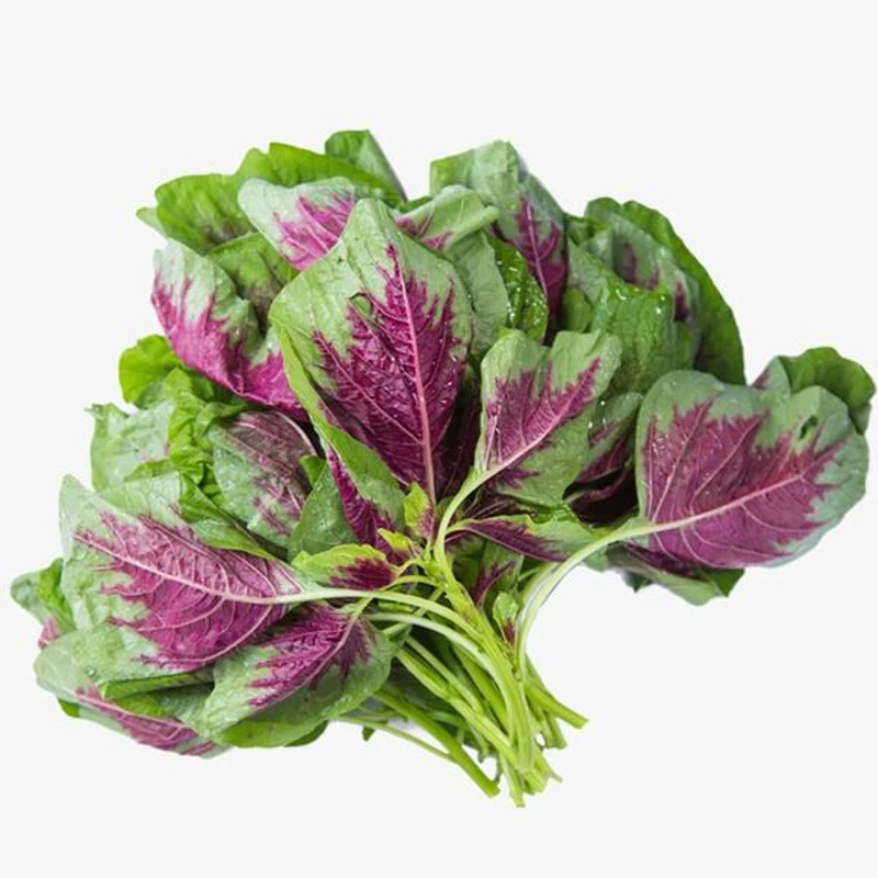 【蔬菜】苋菜约500g/份