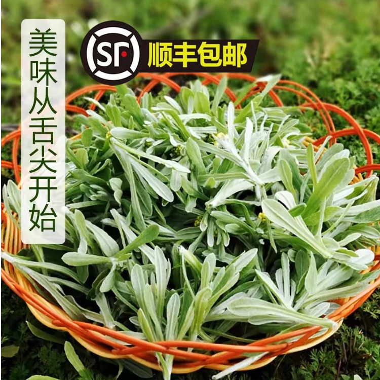 鼠曲草清明草新鲜现摘鼠麴草佛耳草绒毛青团艾团草菜粑粑时令蔬菜