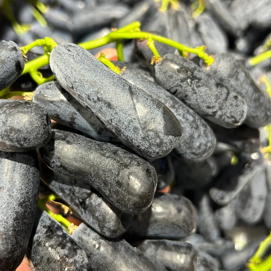 金手指葡萄特级果 脆甜无籽 当季新鲜水果【琳琳】云南省